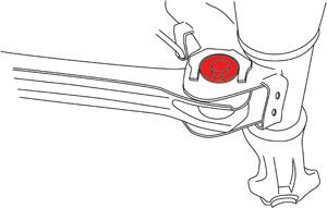 Photo - Primary