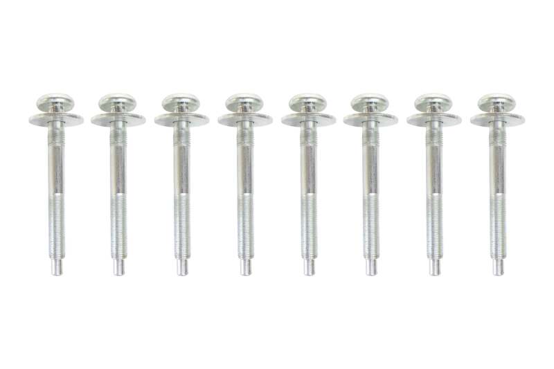 Rust Buster Bed Mounting Bolt Kit